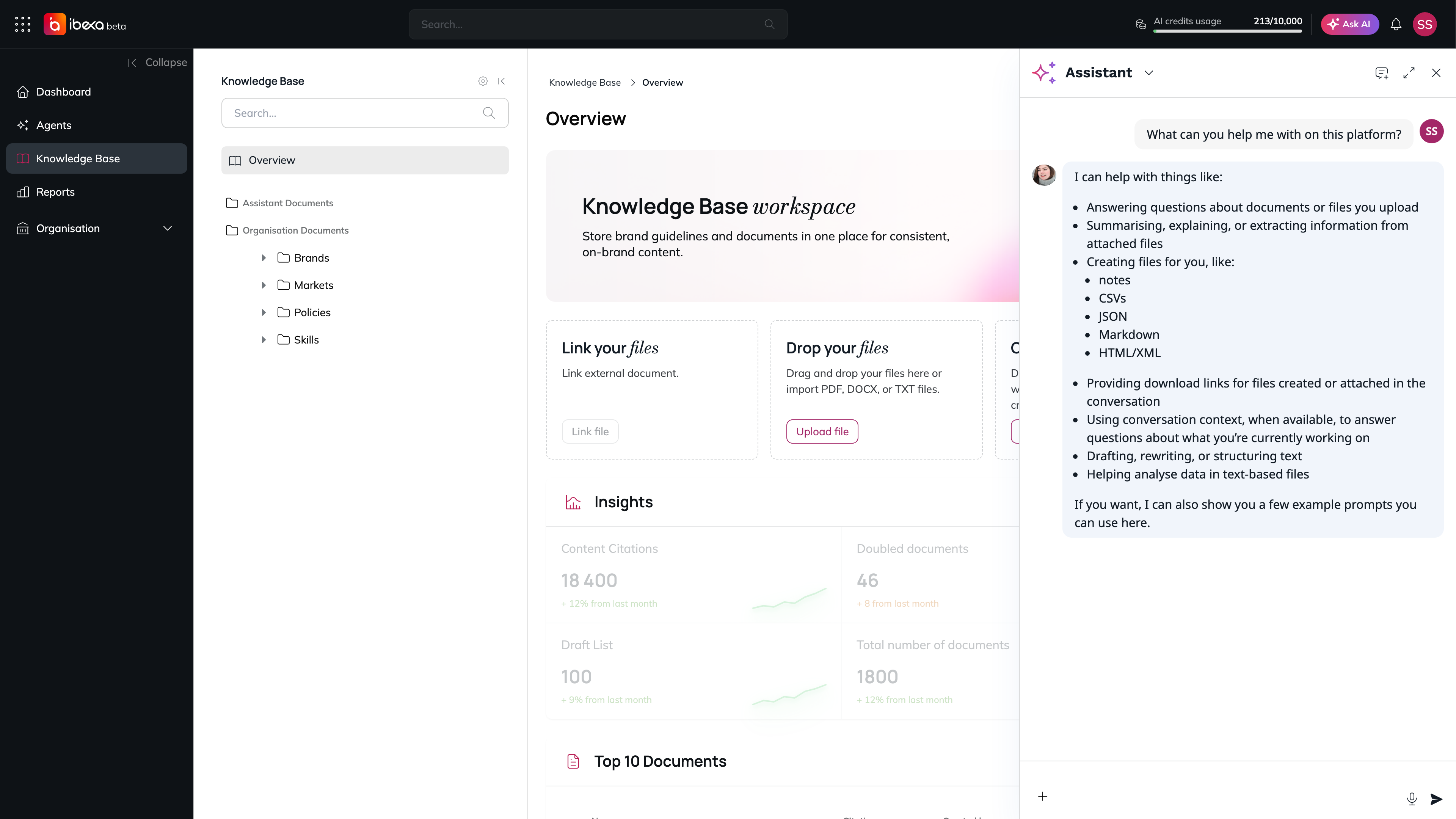 The Knowledge Base page with the Assistant panel open on the right, showing a question about what the assistant can help with and the assistant's reply, with the conversation, new conversation, full screen and close controls in the panel header and the message input at the bottom