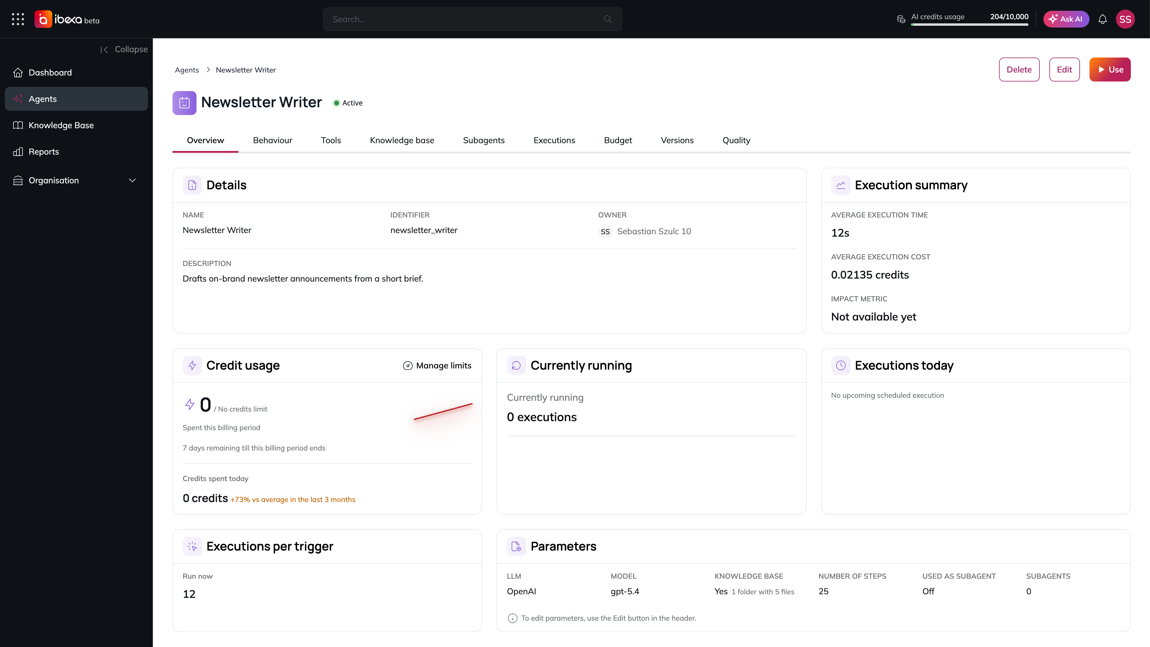 The Newsletter Writer detail page on the Overview tab, with the Delete, Edit and Use buttons, the row of tabs, and the Details, Execution summary, Credit usage, Currently running and Executions today panels